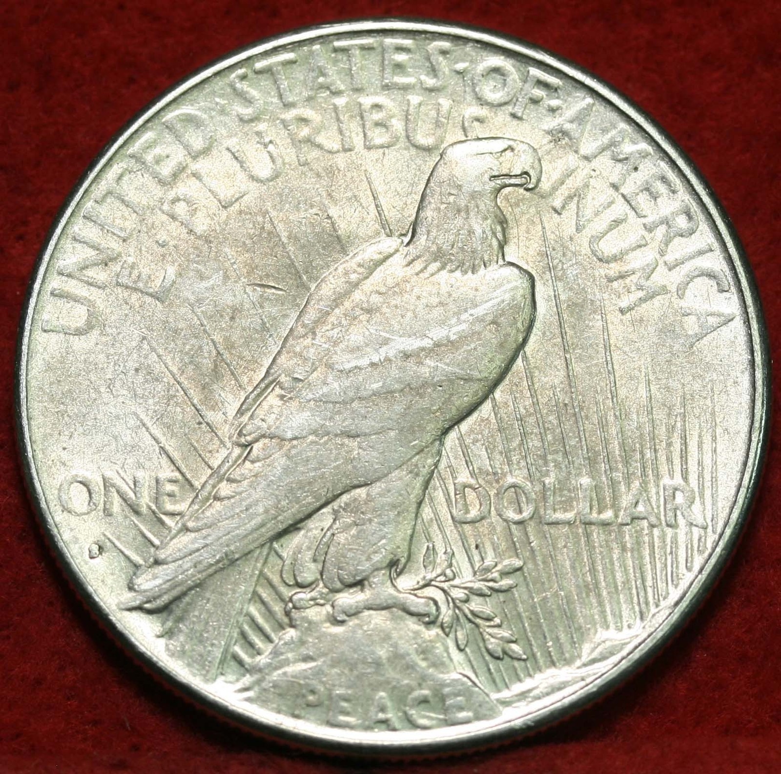 Reverse of a Peace dollar showing the bald eagle at rest clutching an olive branch — the eagle's breast feathers, wing detail, and the word PEACE below are critical grading and strike-quality focal points
