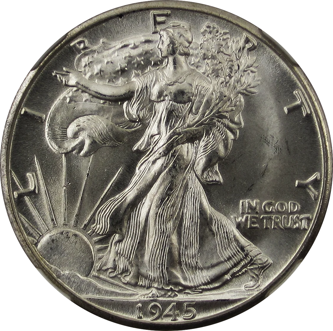 Obverse of a Walking Liberty half dollar graded MS66+ — the detail on Liberty's hand, gown lines, and face are the primary focal points for strike quality assessment